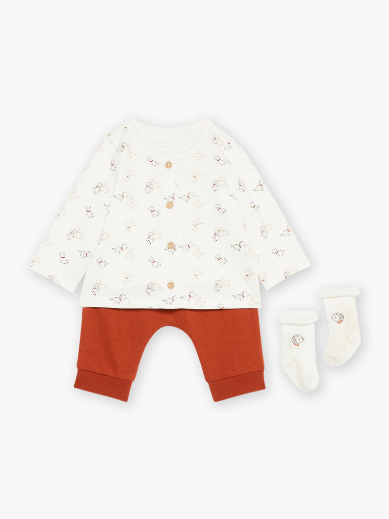 tmp/68893507776/products/aebf1403-4380-4c0e-9913-ace14ee37135/23H0CML2ENS_001_121d572afe-6e38-4dce-a485-3a2939a4e91b.jpg