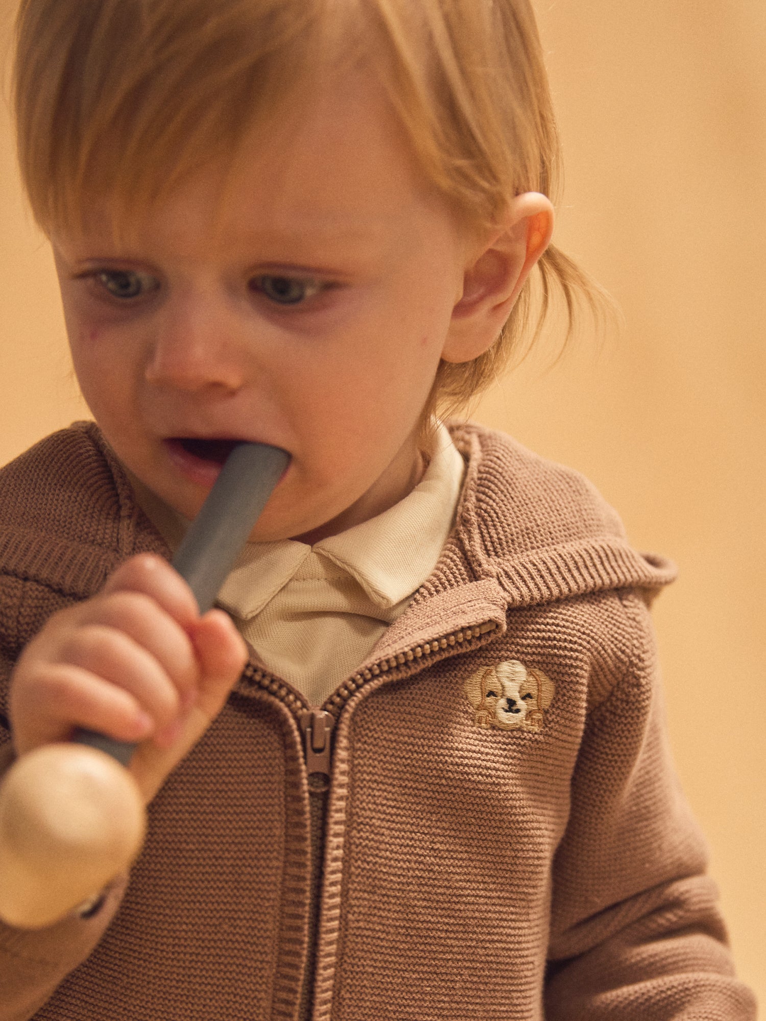 Maglione a Cappuccio Marrone Neonati Maschio