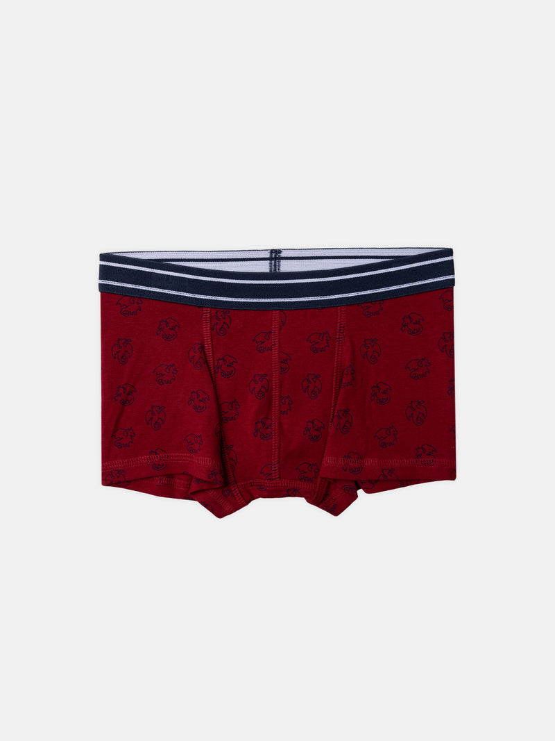 Lot 5 boxer Garçon