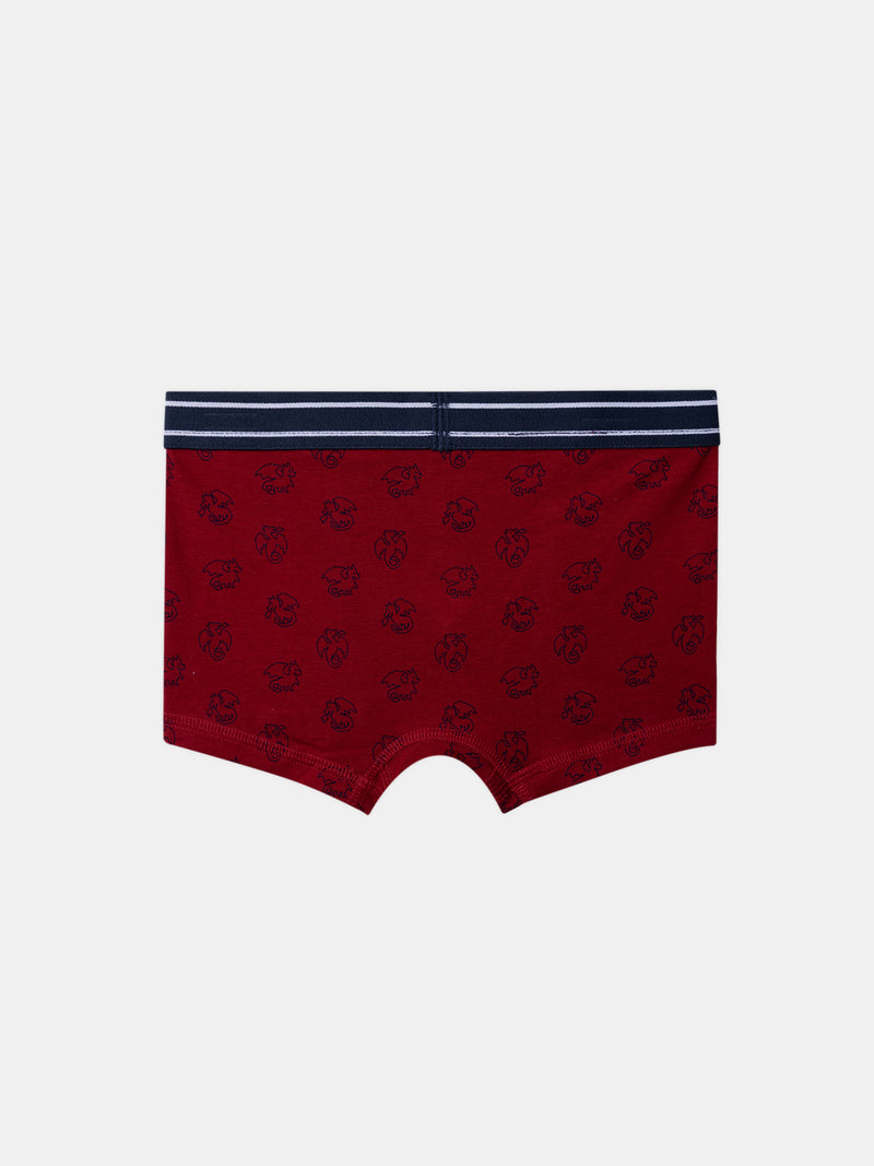 Lot 5 boxer Garçon