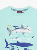 T-shirt turchese motivi squali bambino COTIFAGE / 22E3PGN1TMC203