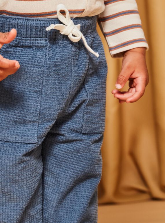 Pantaloni in velluto a costine blu-grigio DASECTOR / 22H1BGY2PAN205