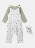 Set da giorno body + salopette + calzini MONZON / 25E0CG22ENSG610