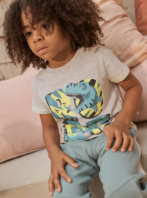 T-shirt grigio cenere motivo dinosauro fantasia bambino CAXOLAGE / 22E3PGB1TMCJ904