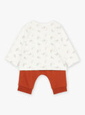 Top, pantaloni pigiama e calze grigio chiaro GOKAY / 23H0CML2ENS001