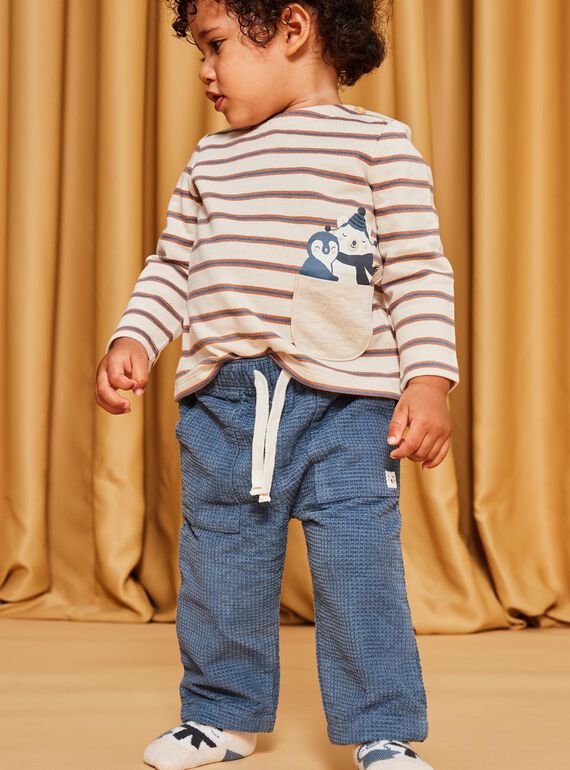 Pantaloni in velluto a costine blu-grigio DASECTOR / 22H1BGY2PAN205