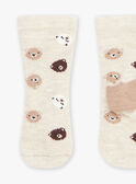 Calze beige con stampa orsetti GALAMY / 23H4BGH1SOQA010