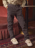 Pantaloni Grigi di Velluto  LADURAGE / 24H3PGQ1PANJ909