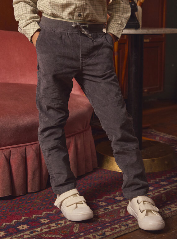 Pantaloni Grigi di Velluto  LADURAGE / 24H3PGQ1PANJ909
