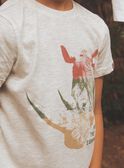 T-shirt grigio chiaro con motivo rinoceronte FRIZOTAGE3 / 23E3PGD4TMCA011