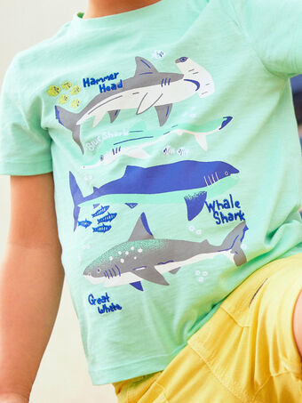 T-shirt turchese motivi squali bambino COTIFAGE / 22E3PGN1TMC203