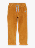Pantaloni ampi beige in velluto GLAVELTAGE / 23H3PGI1PANI819