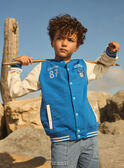 Teddy con tigre METEDAGE / 25E3PG81GILC209