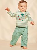 Pantaloni felpati verde mandorla FACECTOR / 23E1BGB1PAN611