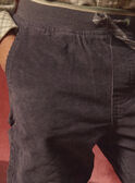 Pantaloni Grigi di Velluto  LADURAGE / 24H3PGQ1PANJ909
