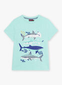 T-shirt turchese motivi squali bambino COTIFAGE / 22E3PGN1TMC203
