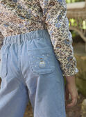 Greyish blue PANTS LARABETTE / 24H2PFS1PAN205