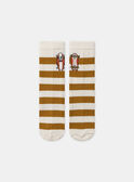 Calzini a righe con skateboard MASOCAGE / 25E4PG71SOQ114