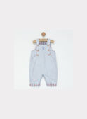 Blue sky Overalls NAARTHUR / 18E0CG41SAL020