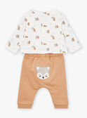 Set maglia, pantaloni e bandana color nocciola ed écru LOGAN / 24H0CG13ENS821