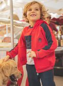 Felpa con cappuccio bicolore FEGILAGE / 23E3PGB1GIL506
