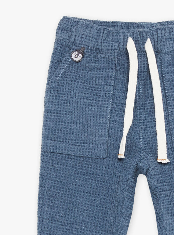Pantaloni in velluto a costine blu-grigio DASECTOR / 22H1BGY2PAN205