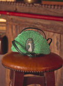 Green BAG AND POUCH LYCOKETTE / 24H4PFO1BESG618