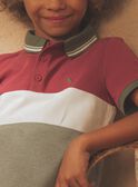 Polo colorblock con dinosauro FRIPLAGE1 / 23E3PGD1POL628