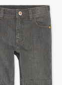Jeans grigi GLADIMAGE / 23H3PGI1JEAK004