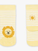 Calze écru a righe con motivo leone in Jacquard FAARNOLD / 23E4BG82SOQ001