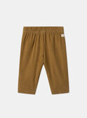 Brown PANTS MAAXEL / 25E1BG71PAN812