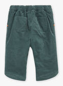 Pantaloni verde argilla in velluto a costine GAORIANE / 23H1BFQ1PANG600