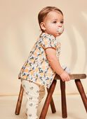 Blusa vaniglia in raso con stampa frutta FAPENNY / 23E1BFO1CHE114
