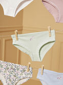 Confezione da 5 slip LUIZETTE / 24H5PF51SLR005