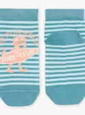 Calze blu con stampa a righe e motivo dinosauro FLUSTRAGE / 23E4PGQ1SOQ205