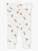 Set kaki LODOVIC / 24H0CG11ENS604