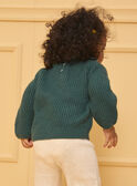 Green PULLOVER LALINA / 24H1BFO1PULG618