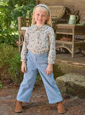 Greyish blue PANTS LARABETTE / 24H2PFS1PAN205