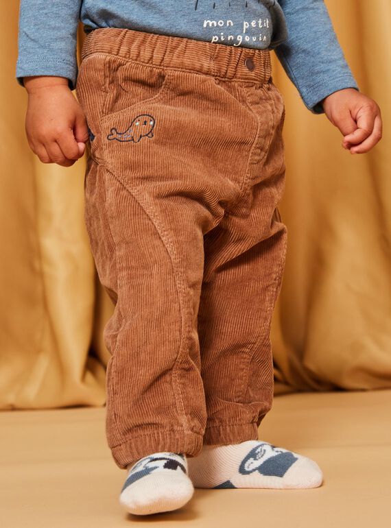 Pantaloni in velluto a costine marrone DASCOTT / 22H1BGY1PAN804