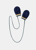 Navy GLOVES & MITTENS LIPAOLO / 24H4BG72GAN070