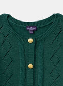 Green CARDIGAN LYCARETTE / 24H2PFO1CARG618