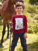 T-shirt Groenlandia LARENAGE / 24H3PGR2TML501