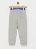 Pantaloni sportivi grigio melange RABOTAGE 1 / 19E3PGB1JGB943