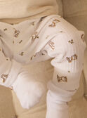 Set da giorno maglia + pantaloni + calzini MORRIS / 25E0CG23ENSA011