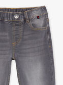 Jeans regular grigi FRIZIRAGE2 / 23E3PGB2JEAK004