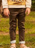 Pantaloni regolari kaki FRICRIAGE2 / 23E3PG82PAN604