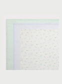 Fascia RYALEXIS / 19E0AG11LAN001