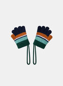Navy GLOVES & MITTENS LIOGANAGE / 24H4PG81GAN070
