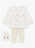 Set cardigan, pantaloni e calze ecrù e greige LOICE / 24H0CM12ENS001