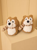 Brown SLIPPERS 3D LUFRAGE / 24F10PG71PTD802